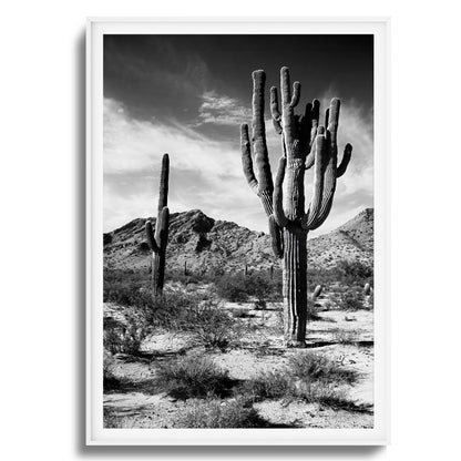 Saguaro Framed Art