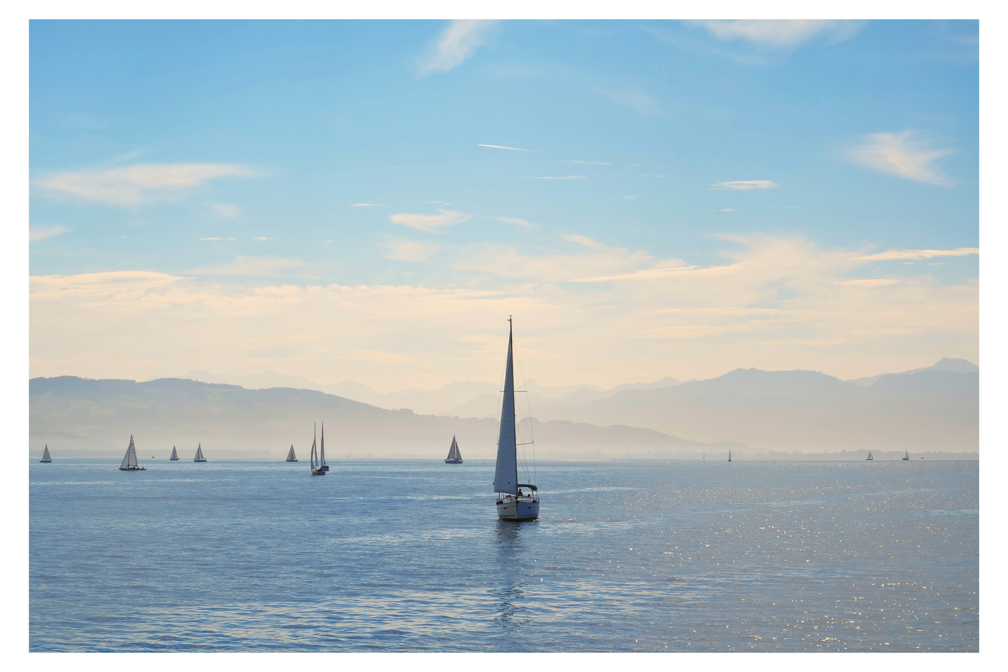 Sailboats on Tranquil Waters Art
