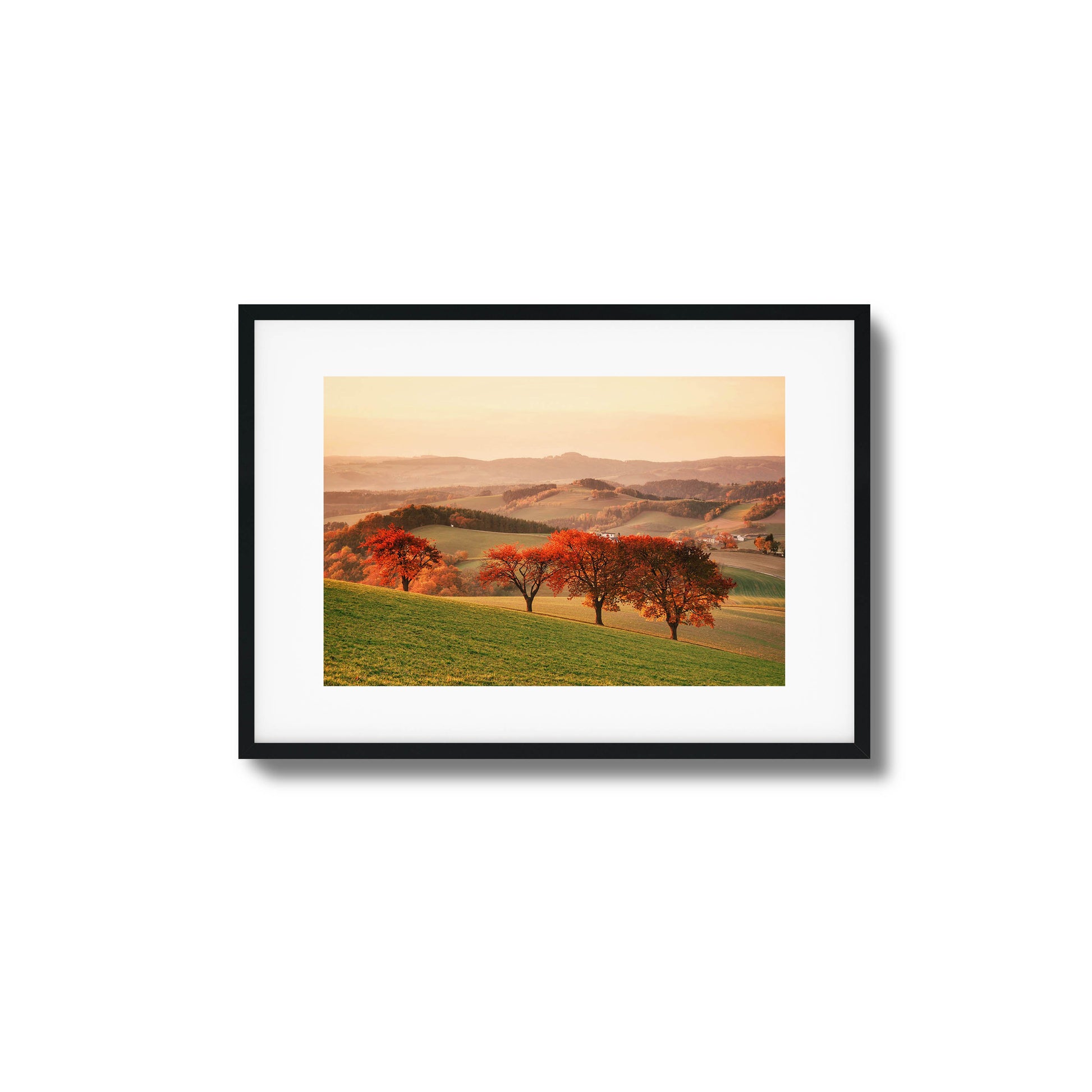 Vibrant red autumn trees dotting green hills under soft light, framed art for nature enthusiasts.