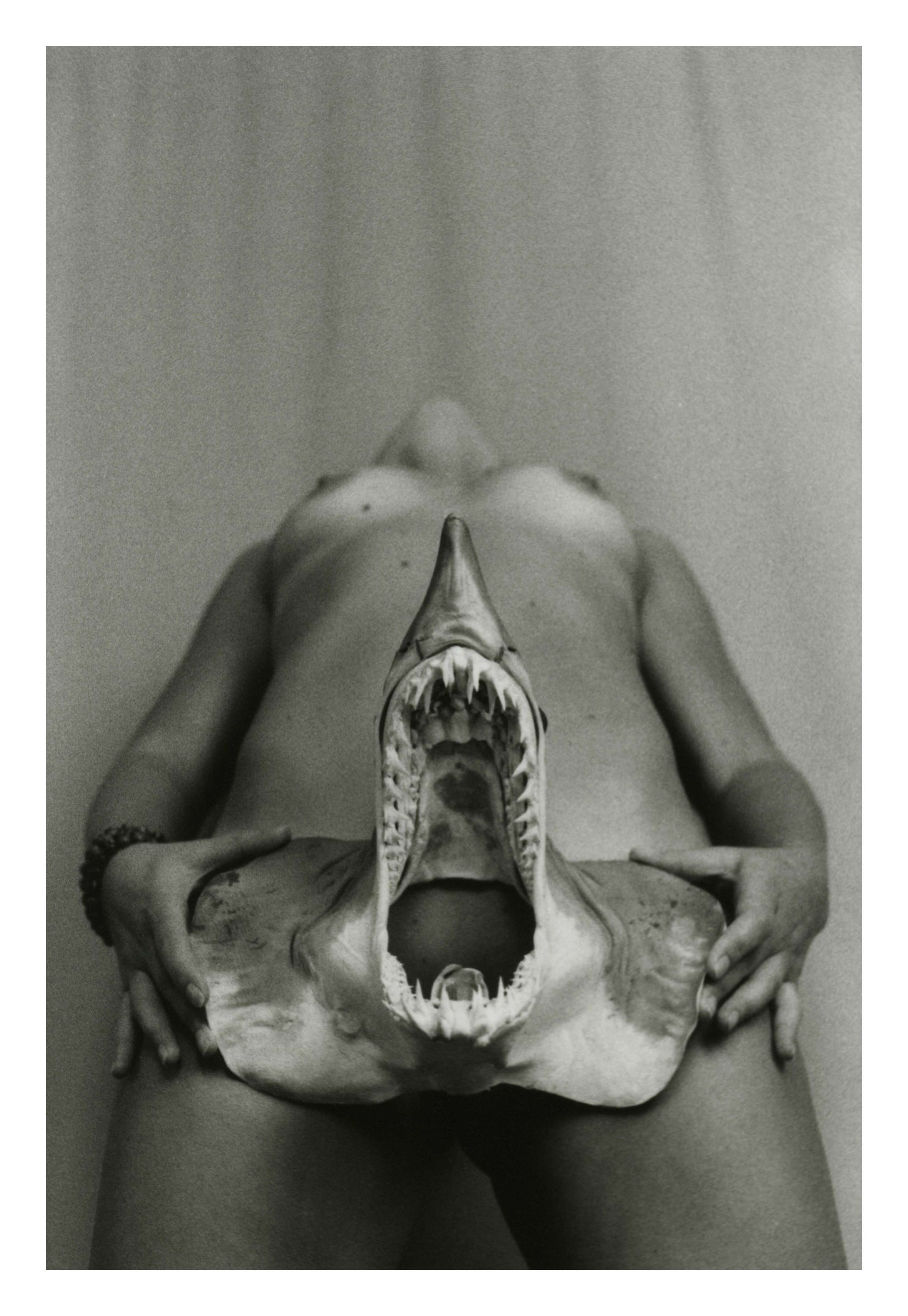 Shark Bite Tease Framed Art