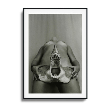 Shark Bite Tease Framed Art - Assure Spark