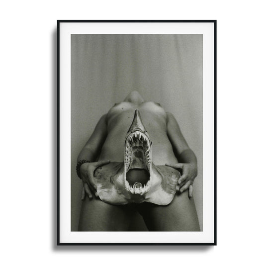 Shark Bite Tease Framed Art