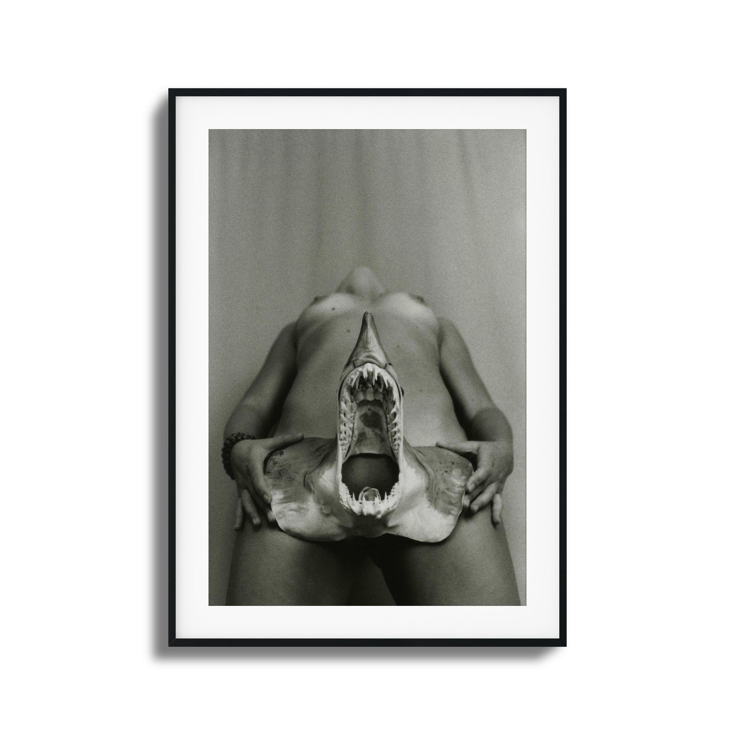 Shark Bite Tease Framed Art