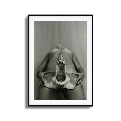 Shark Bite Tease Framed Art