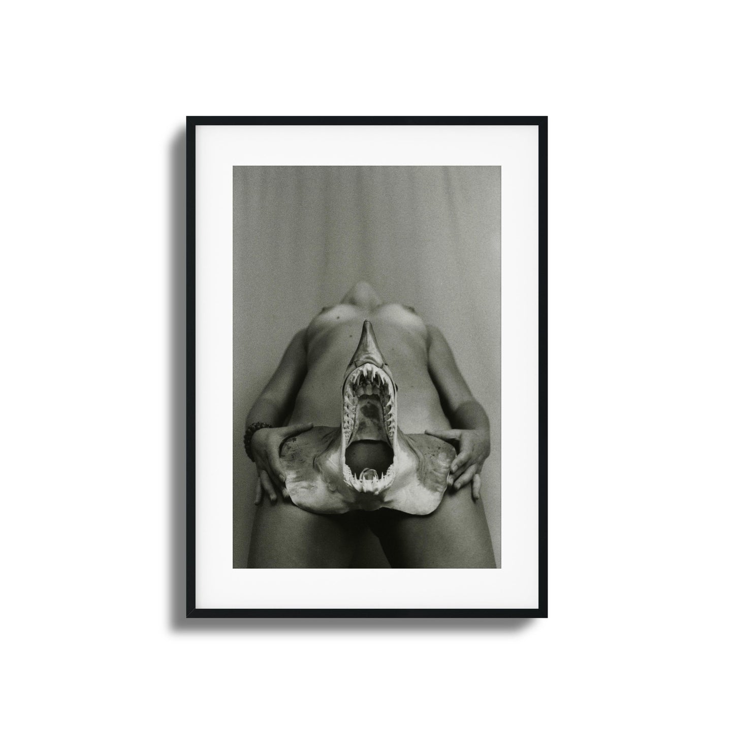 Shark Bite Tease Framed Art