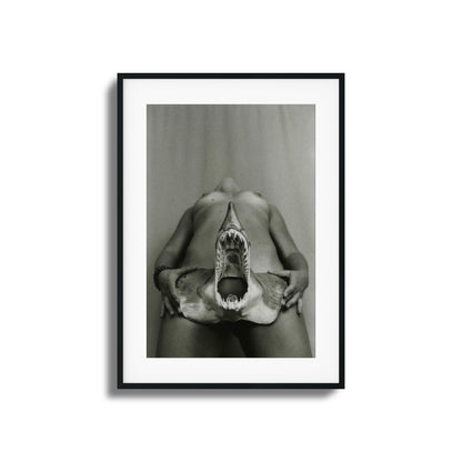 Shark Bite Tease Framed Art