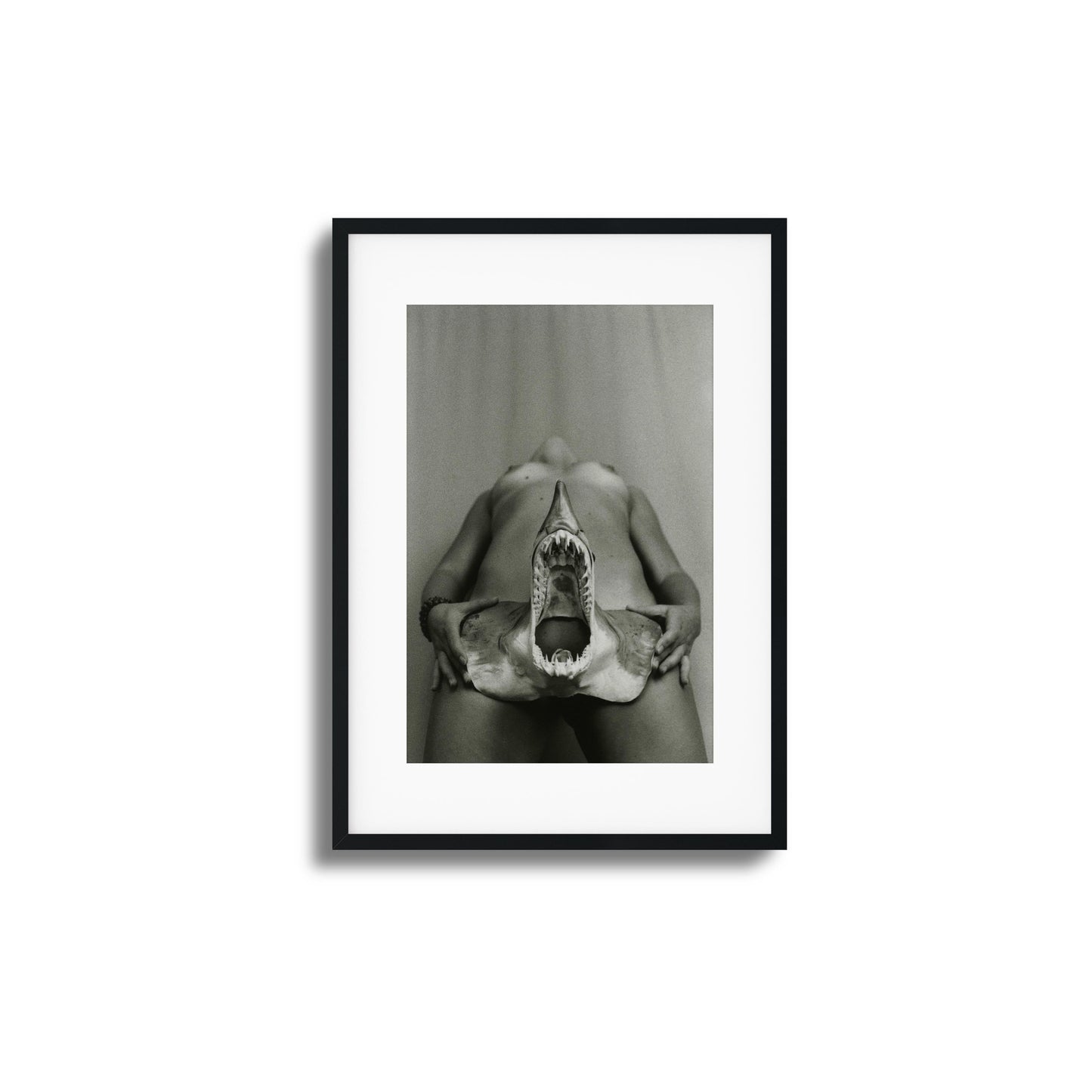 Shark Bite Tease Framed Art