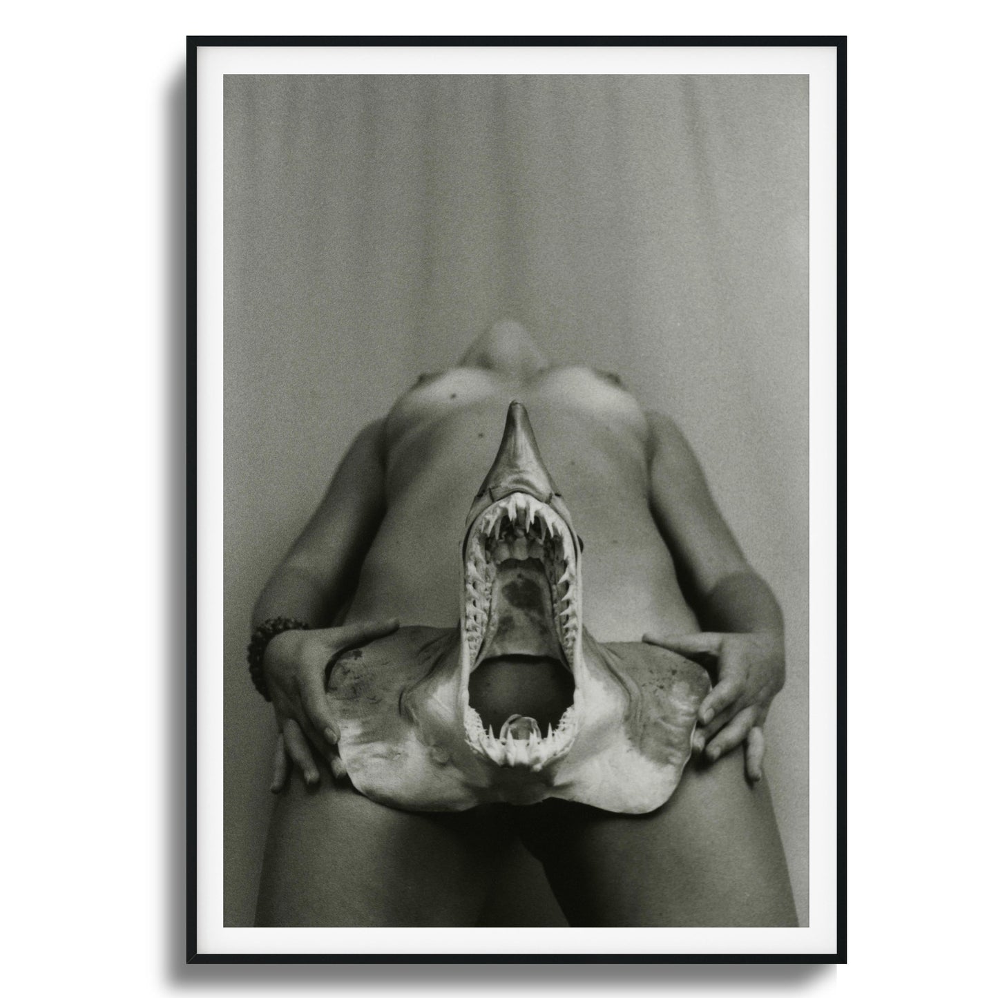 Shark Bite Tease Framed Art