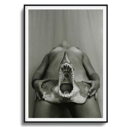 Shark Bite Tease Framed Art