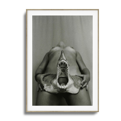 Shark Bite Tease Framed Art