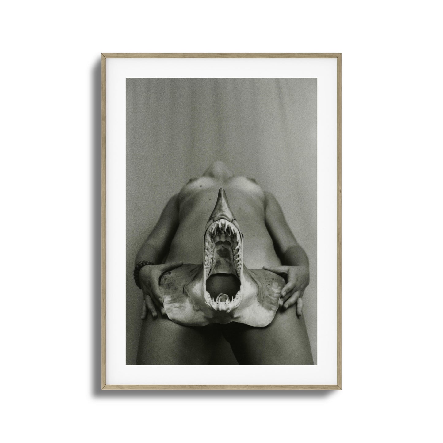 Shark Bite Tease Framed Art