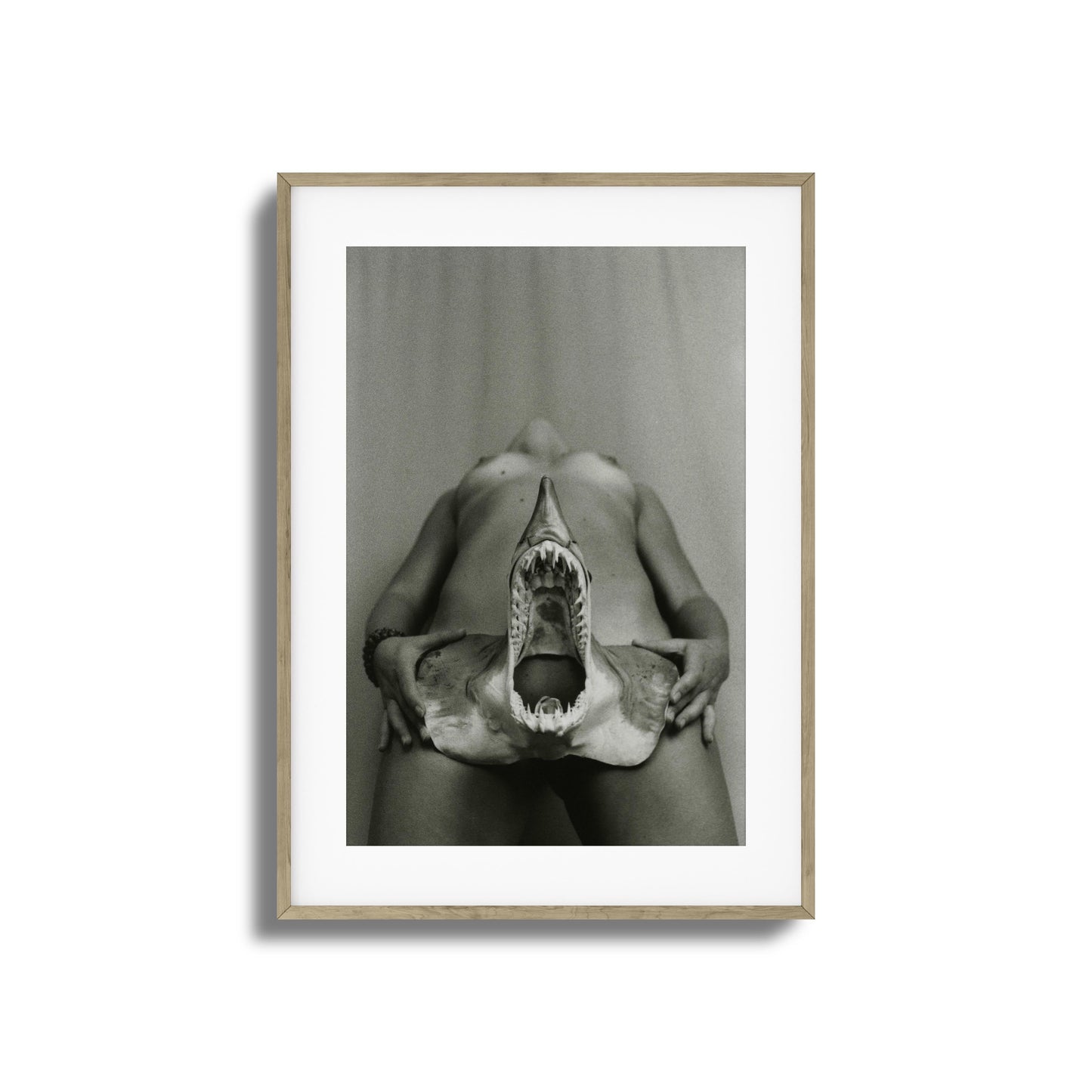 Shark Bite Tease Framed Art