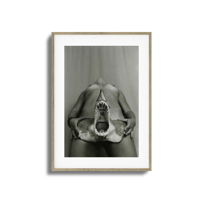 Shark Bite Tease Framed Art