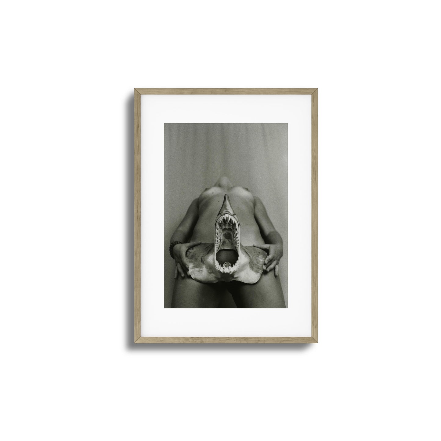 Shark Bite Tease Framed Art