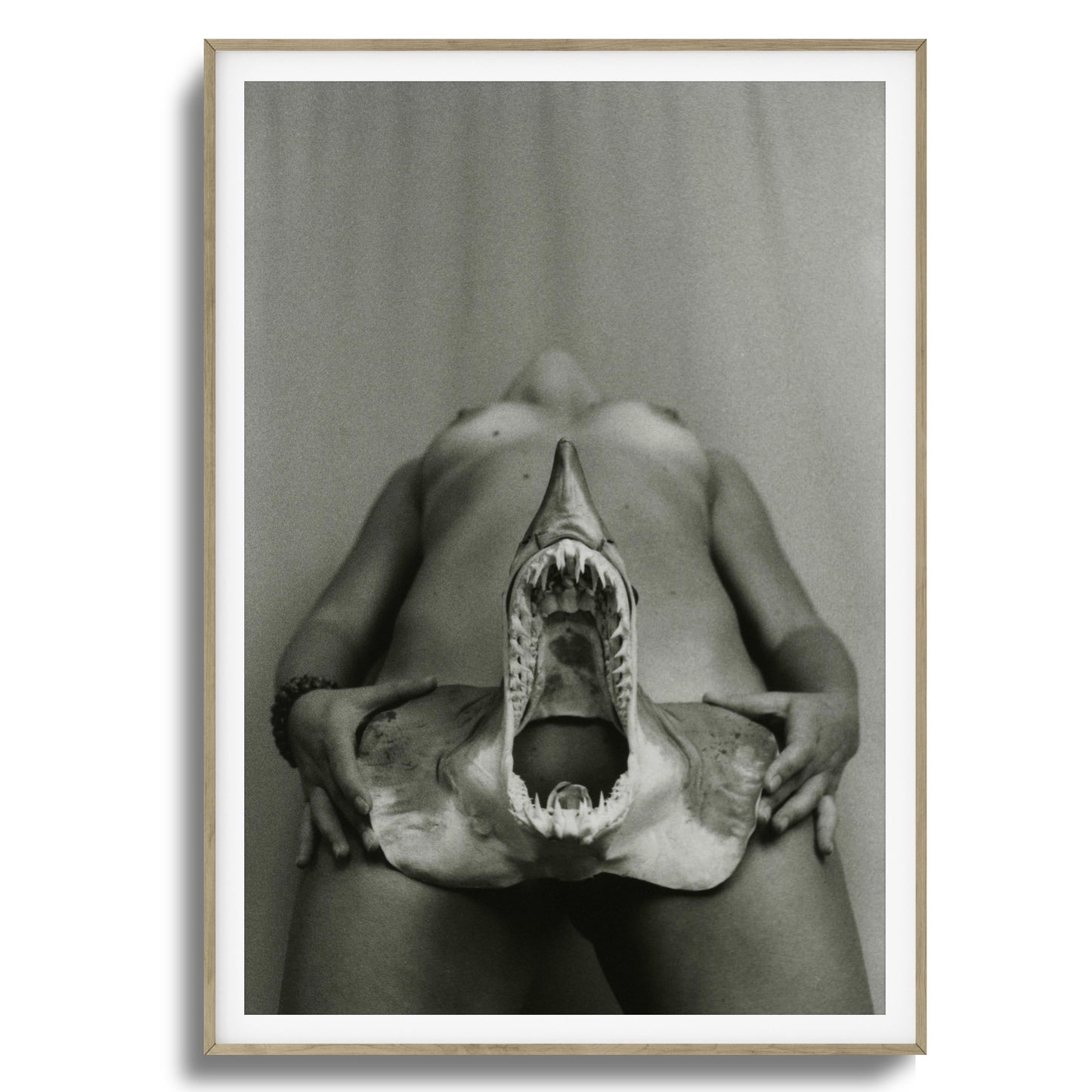 Shark Bite Tease Framed Art