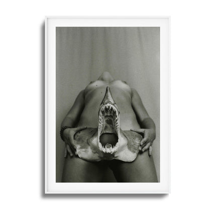 Shark Bite Tease Framed Art