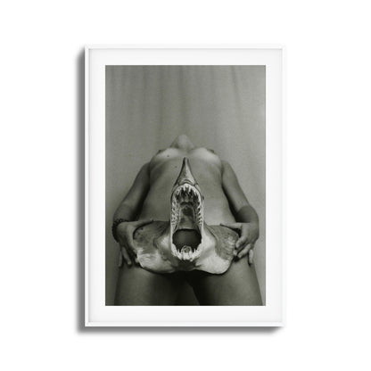 Shark Bite Tease Framed Art