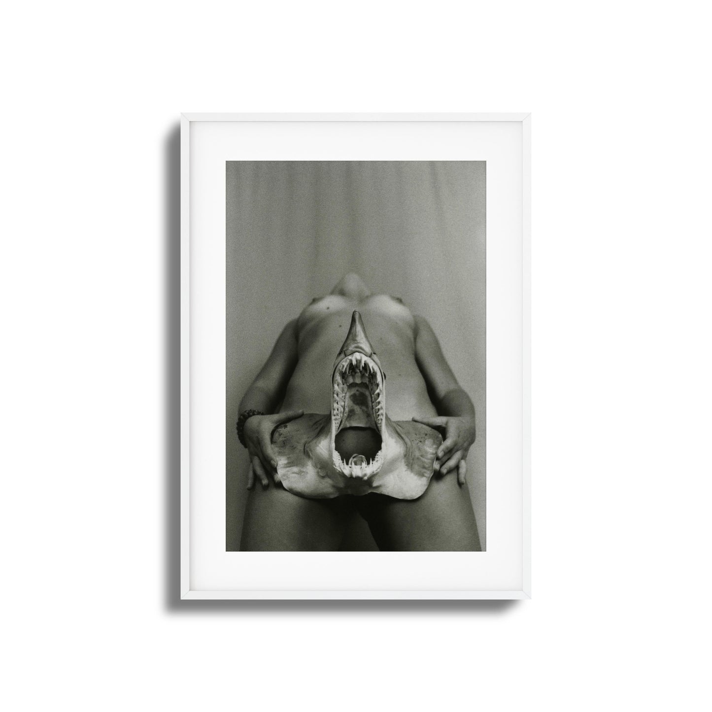 Shark Bite Tease Framed Art