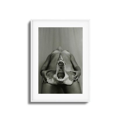Shark Bite Tease Framed Art
