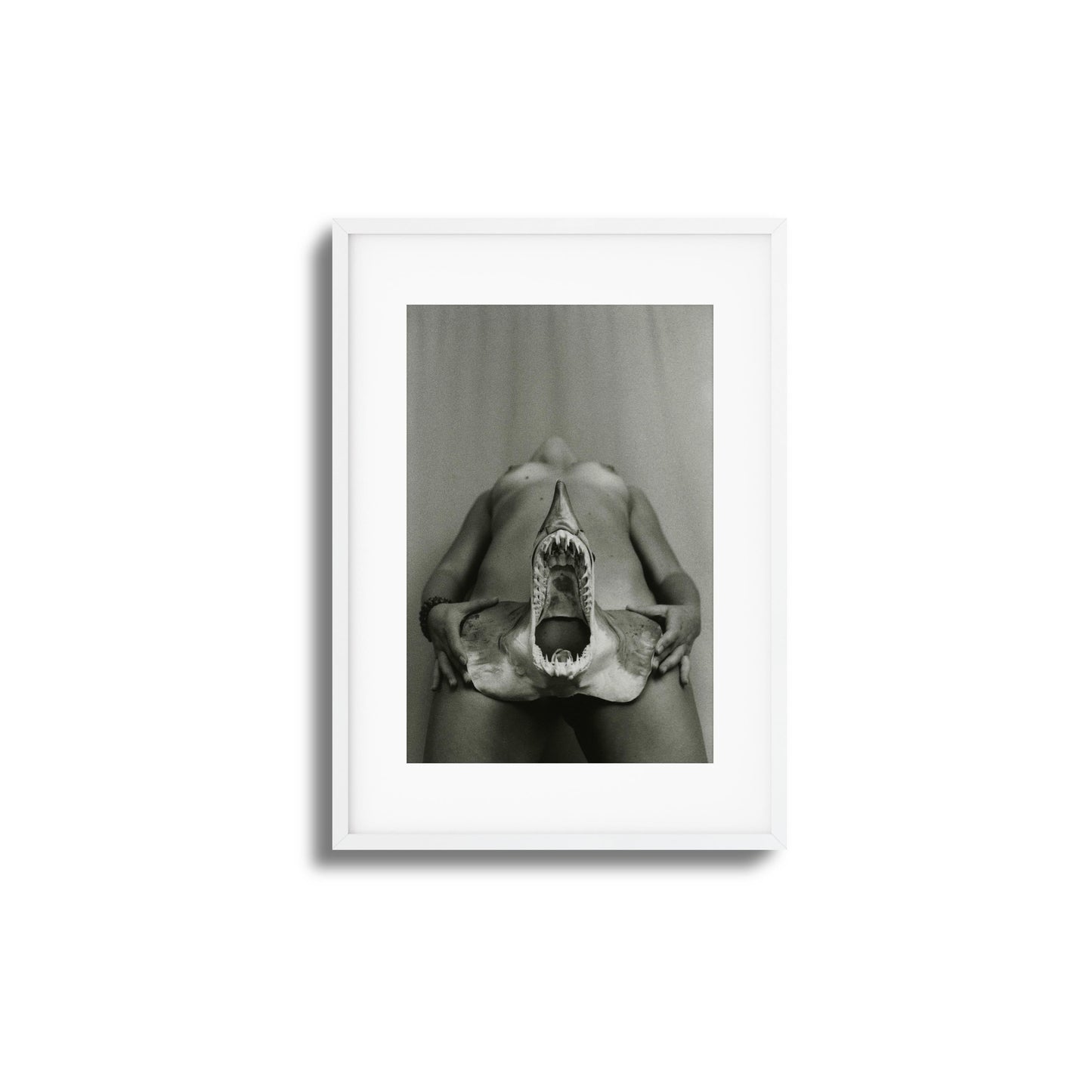 Shark Bite Tease Framed Art