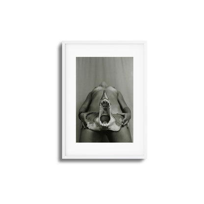 Shark Bite Tease Framed Art