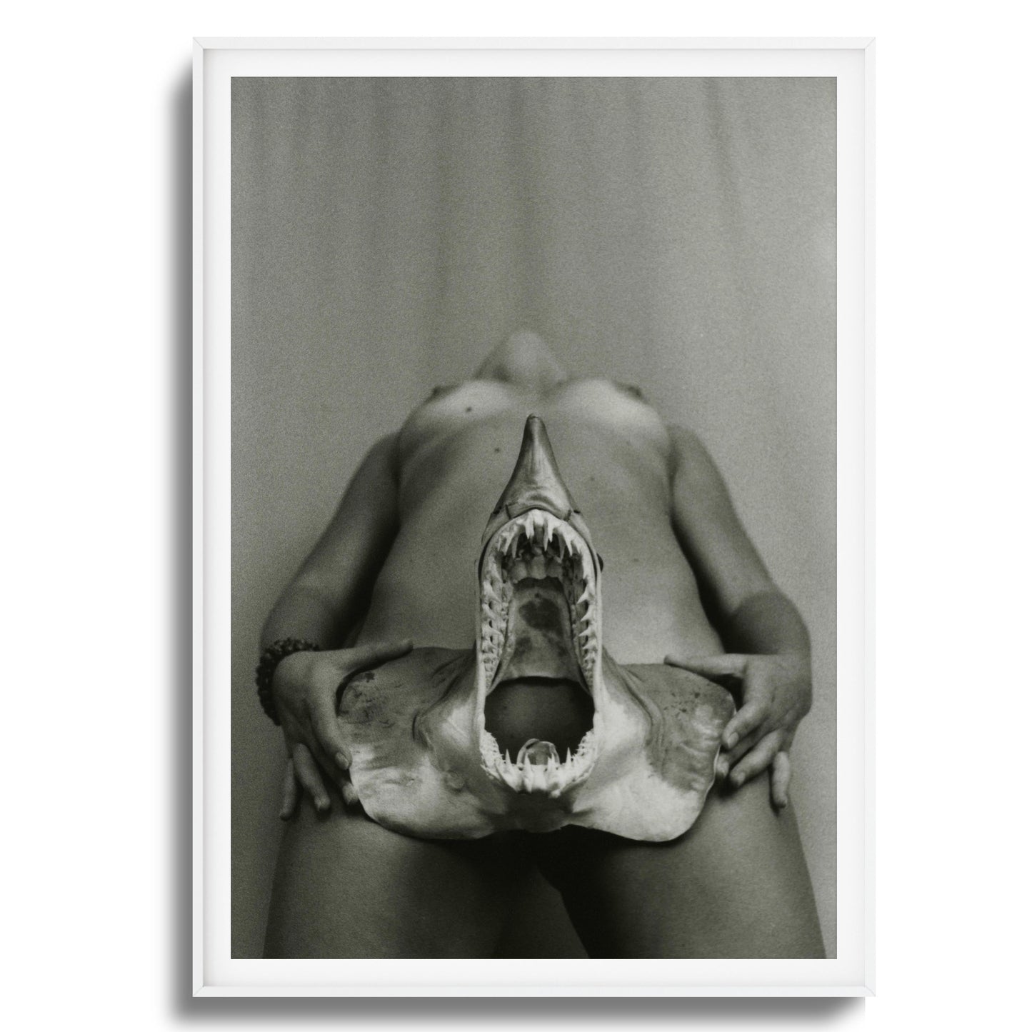 Shark Bite Tease Framed Art