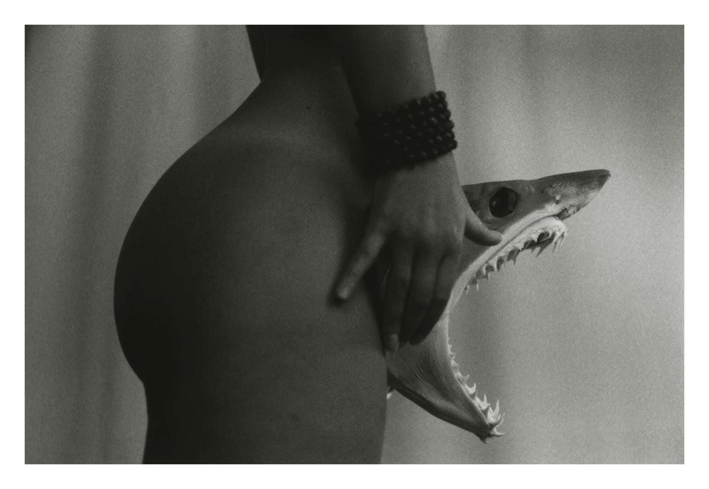 Shark’s Bite Framed Art