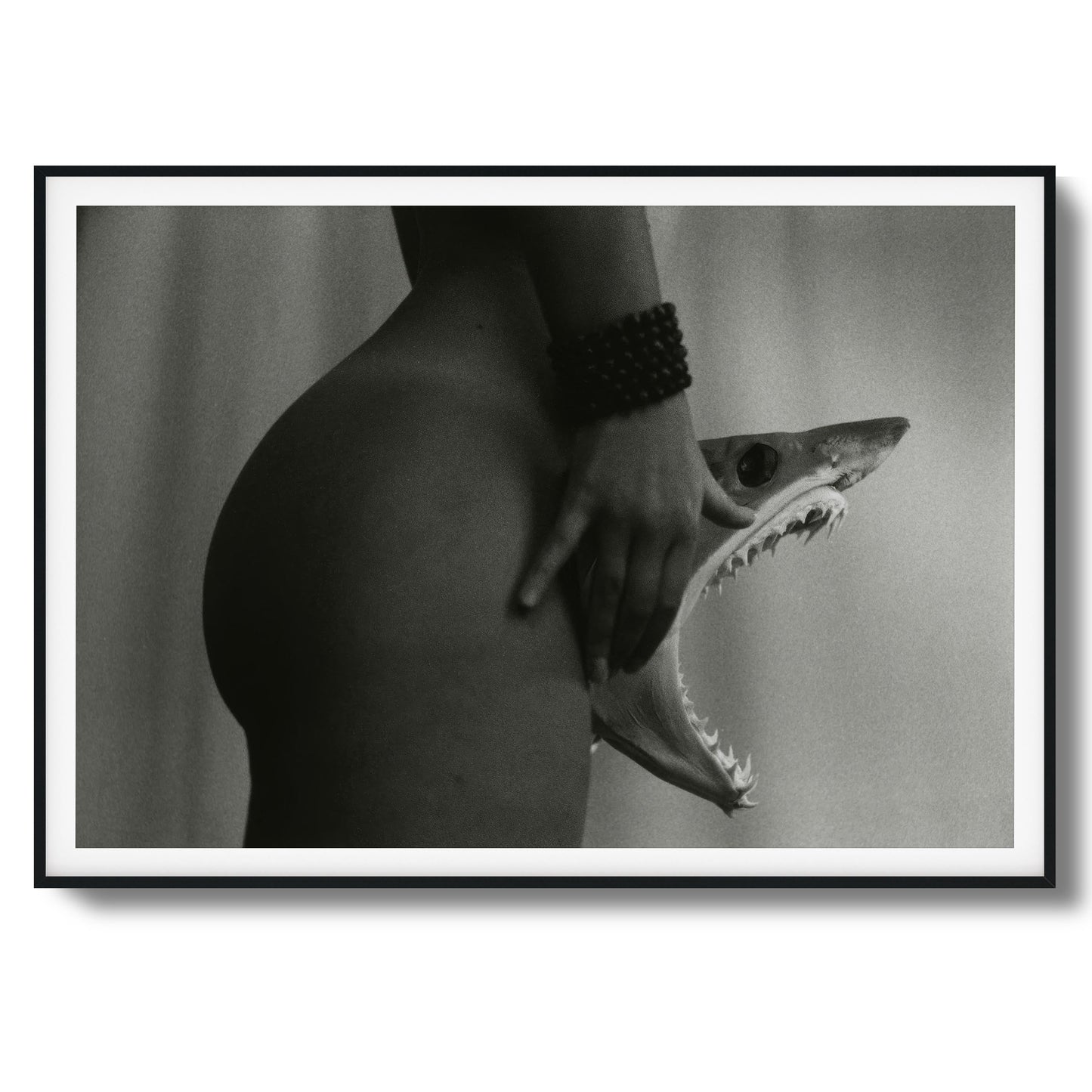 Shark’s Bite Framed Art