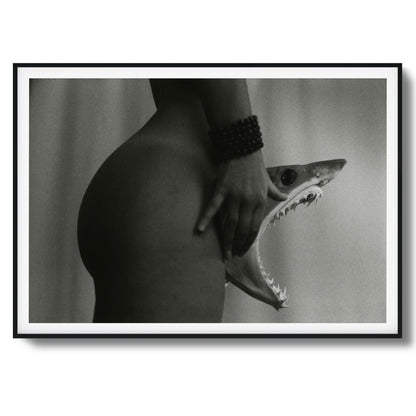Shark’s Bite Framed Art