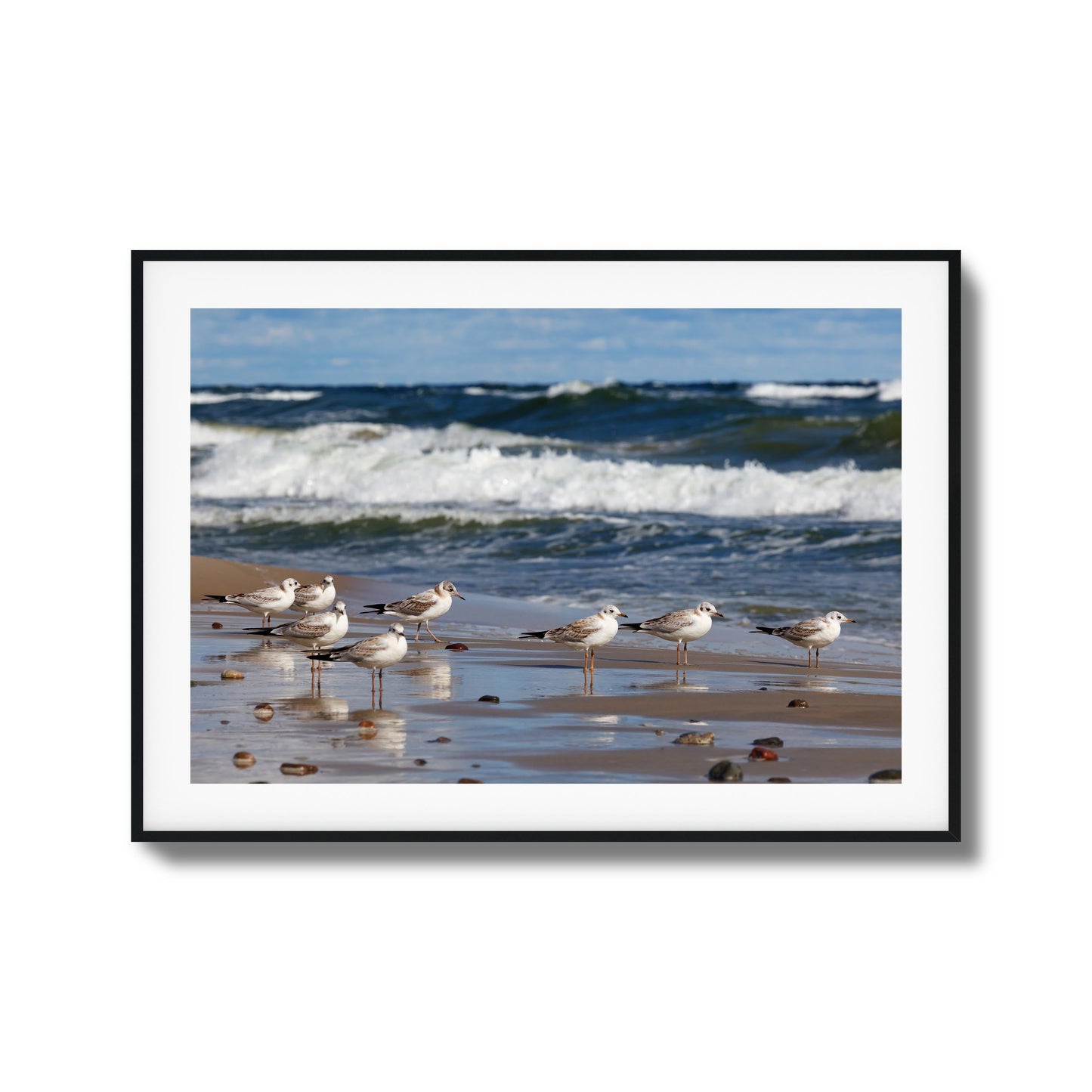 Shore Birds Gathering Framed Art