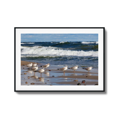 Shore Birds Gathering Framed Art