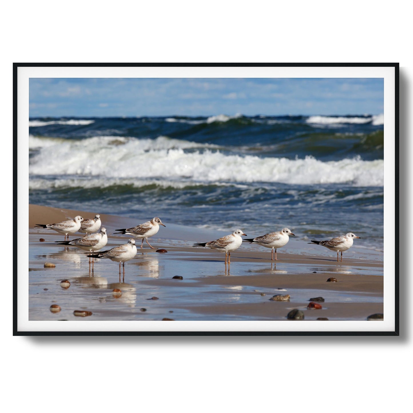 Shore Birds Gathering Framed Art