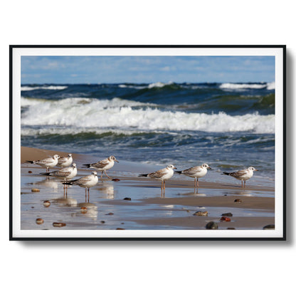 Shore Birds Gathering Framed Art