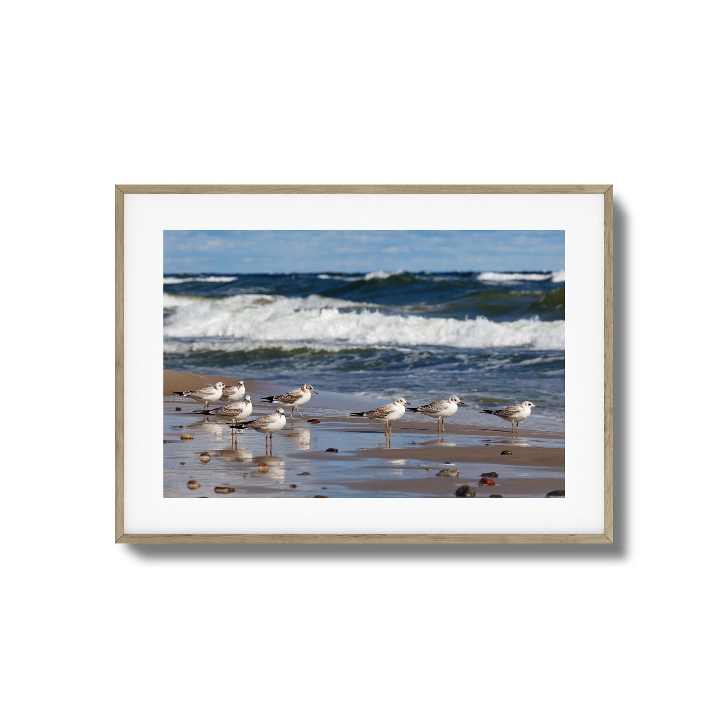 Shore Birds Gathering Framed Art