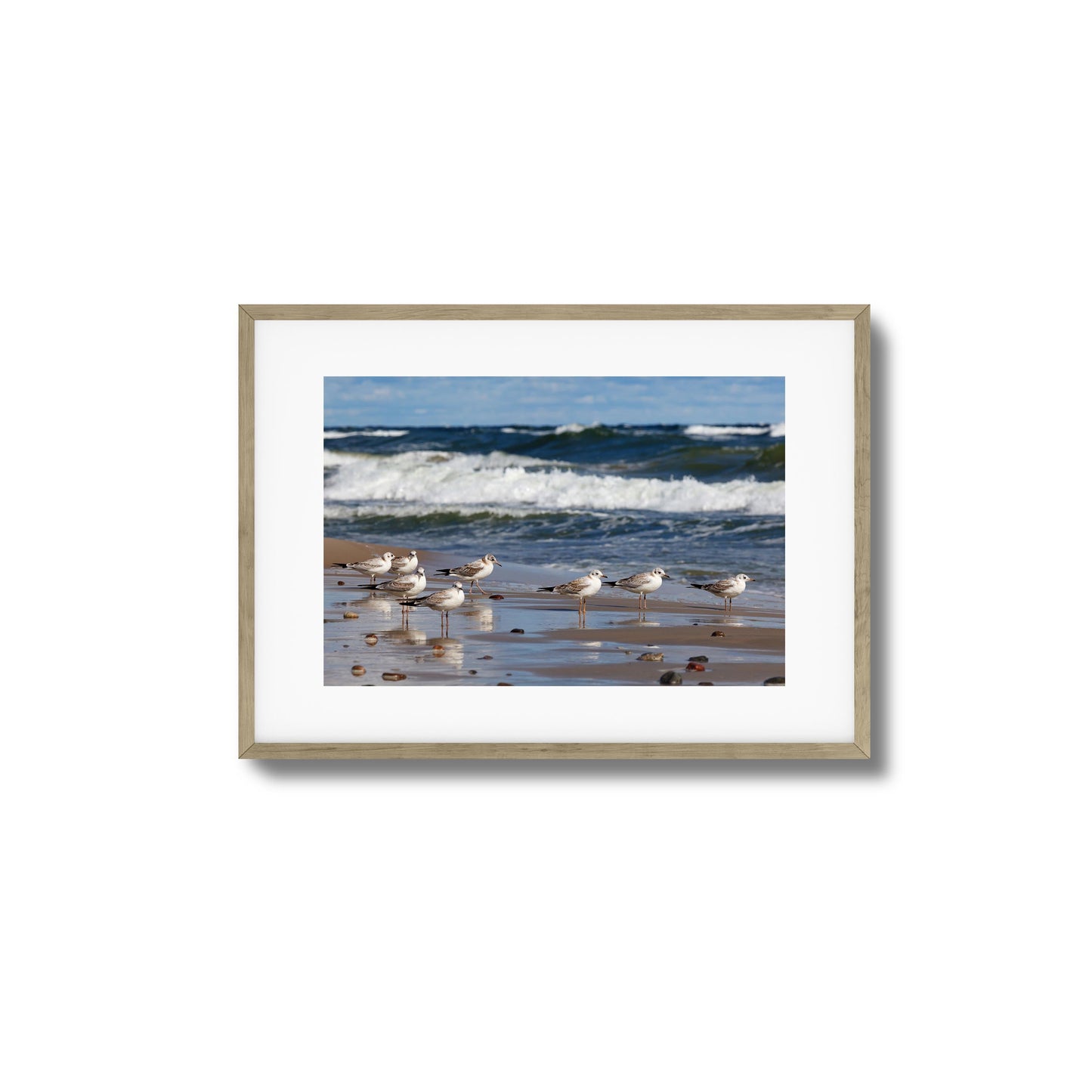 Shore Birds Gathering Framed Art