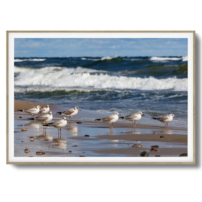Shore Birds Gathering Framed Art
