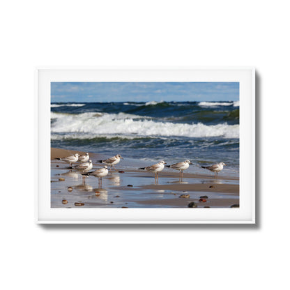 Shore Birds Gathering Framed Art
