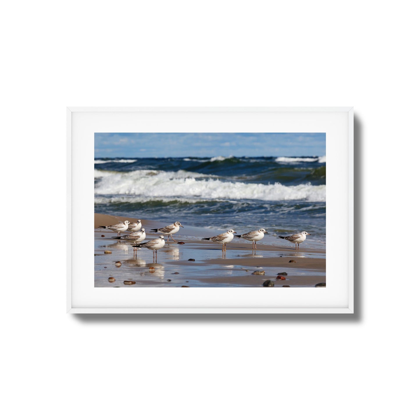 Shore Birds Gathering Framed Art