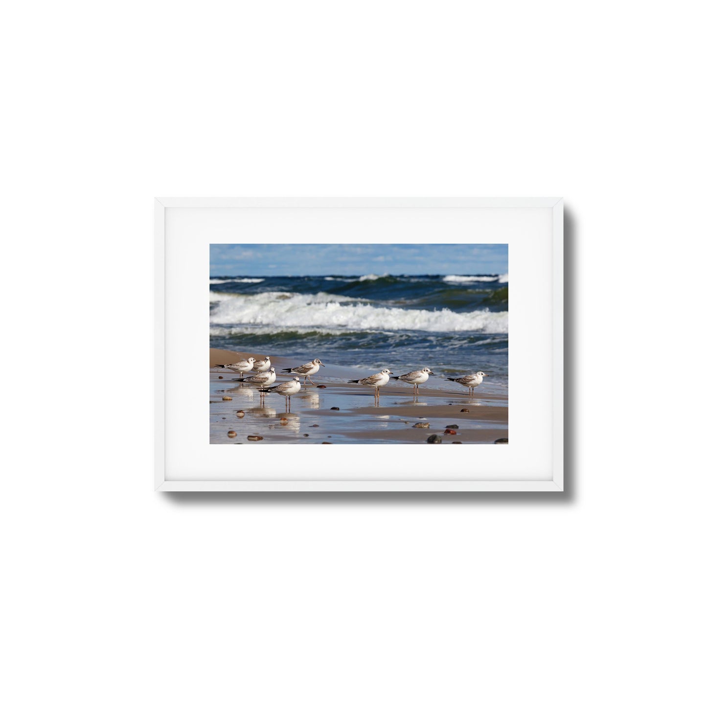 Shore Birds Gathering Framed Art