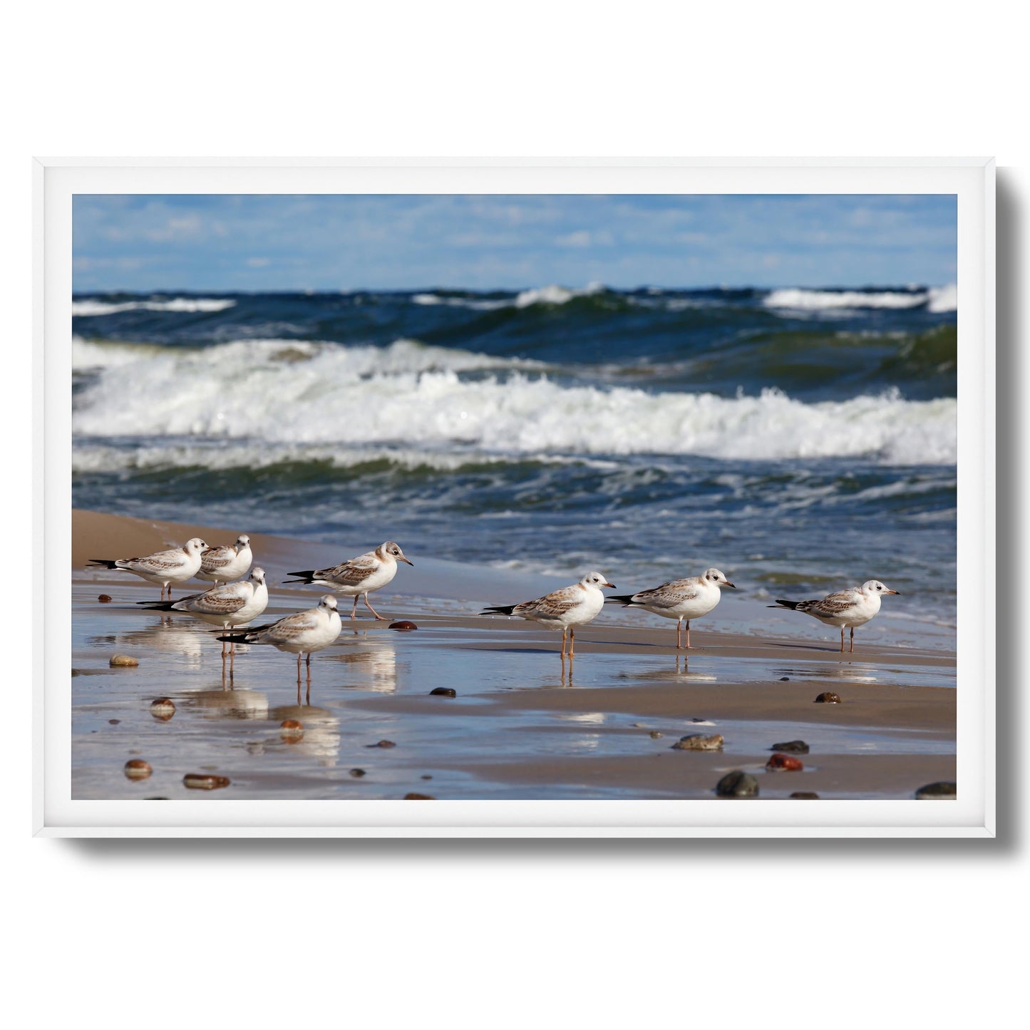 Shore Birds Gathering Framed Art