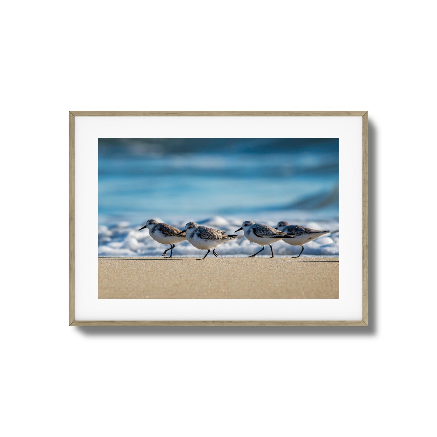 Shoreline Birds Framed Art