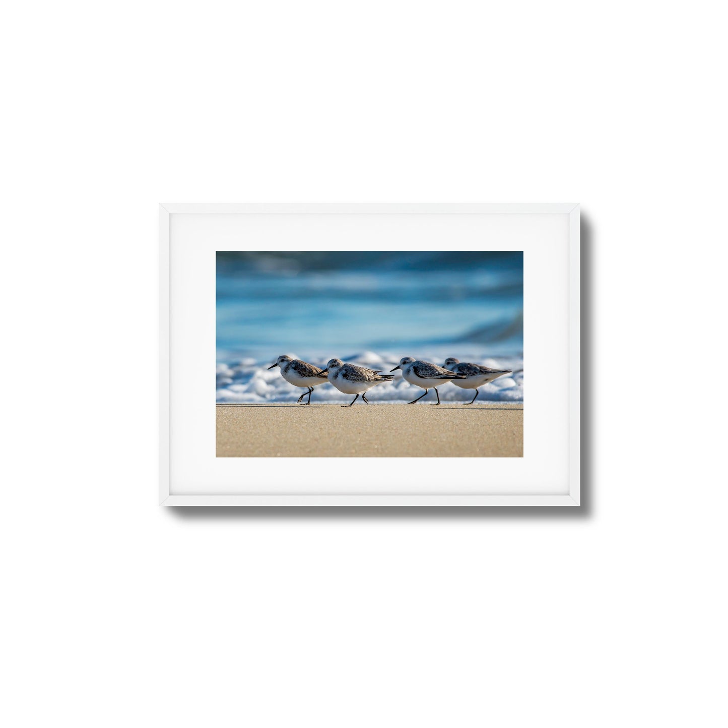 Shoreline Birds Framed Art