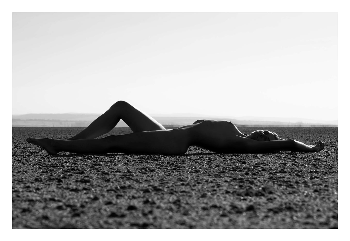 Silhouette Framed Art