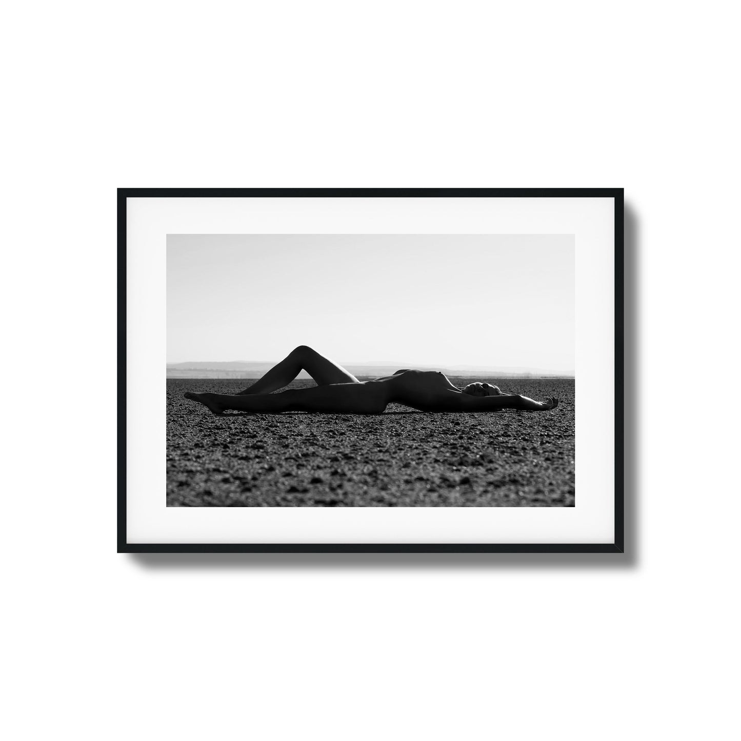 Silhouette Framed Art