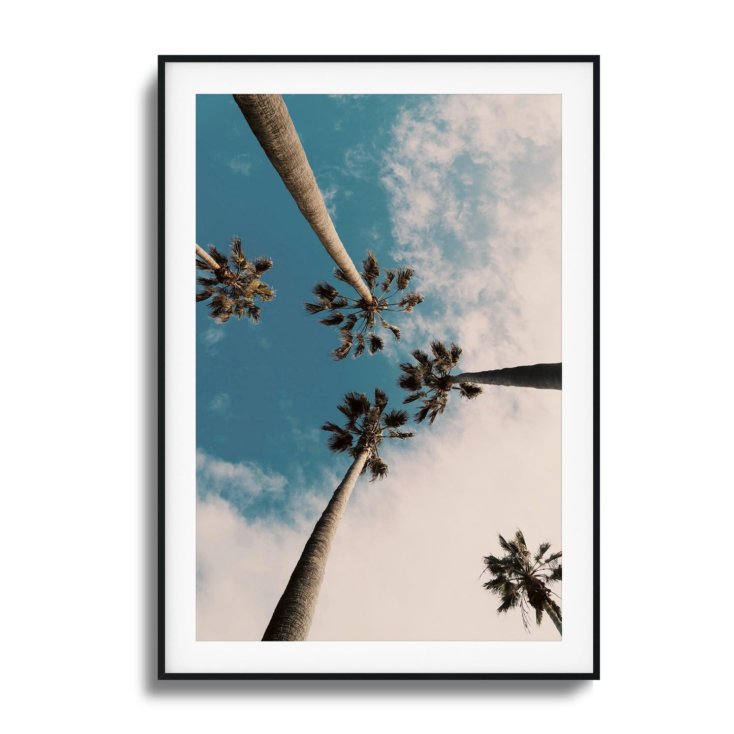 Skyward Palms Framed Art