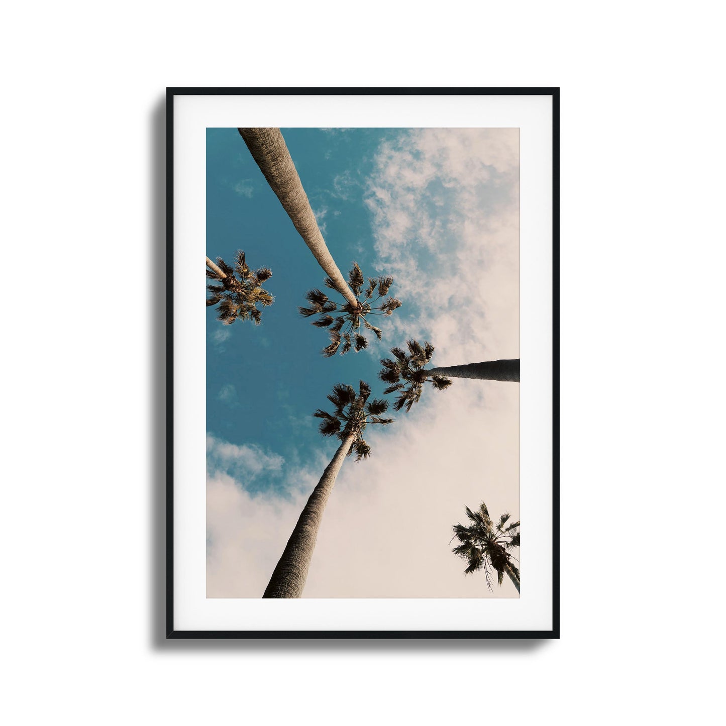 Skyward Palms Framed Art