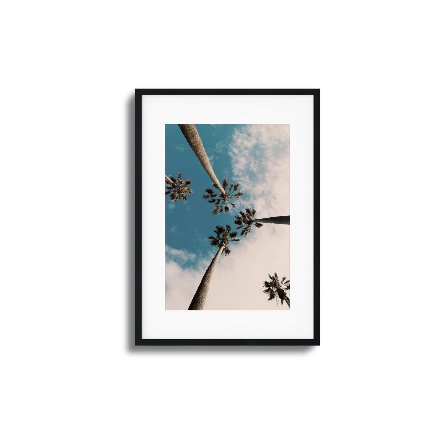 Skyward Palms Framed Art