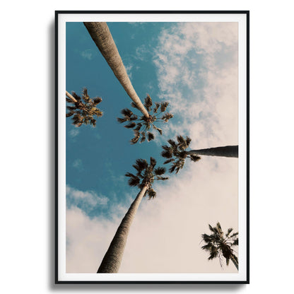 Skyward Palms Framed Art