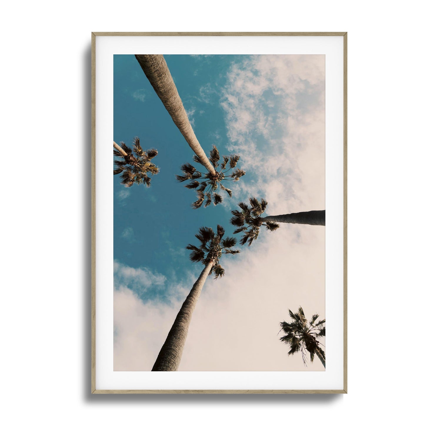 Skyward Palms Framed Art