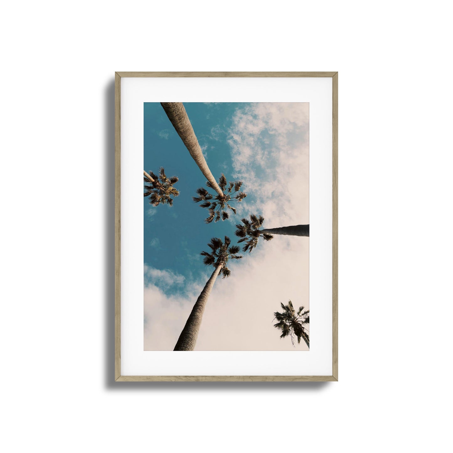 Skyward Palms Framed Art